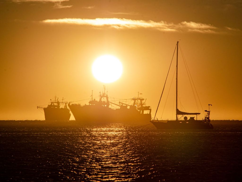 Aisa Group suma la pesca a su portafolio con compra de Sea&nbsp;Fresh
